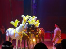 Circus Alex Kaisert am 1. Mai 2026